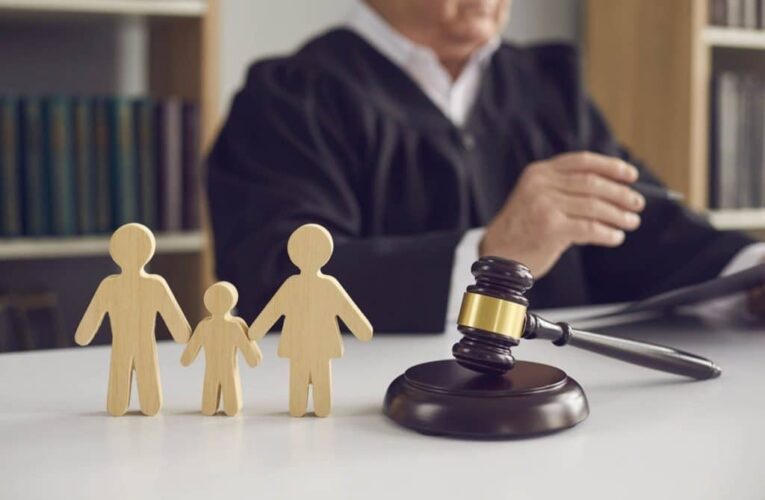 What type of matters does a family law lawyer deal with?
